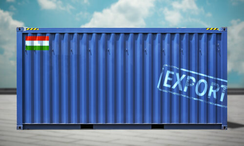 Mit kell tudnia egy exportra kész webshopnak?